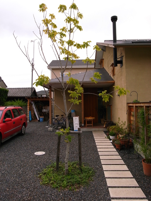 Nさんのいえ 植木の植替え 2011/4/26_a0039934_17363976.jpg