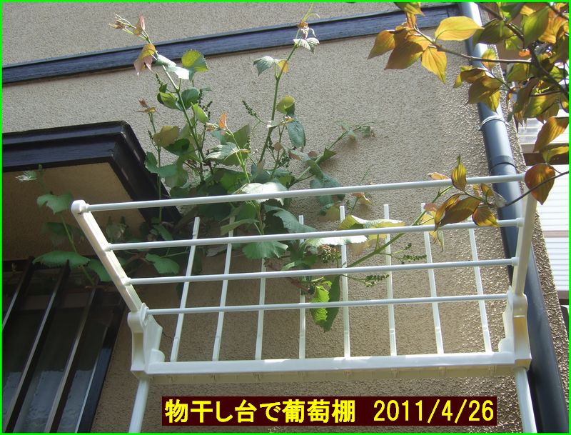 c0004734_18275684.jpg