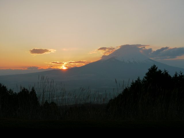 b0190242_0123186.jpg