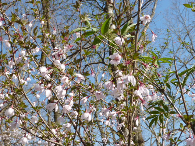 b0190242_013953.jpg