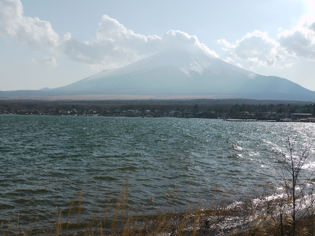 b0190242_0163937.jpg