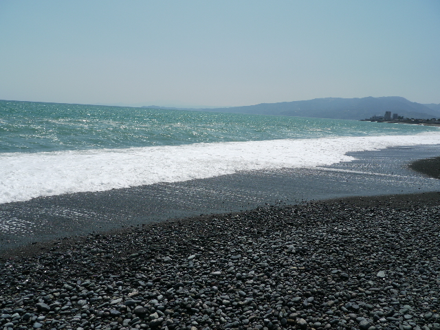 b0190242_055051.jpg