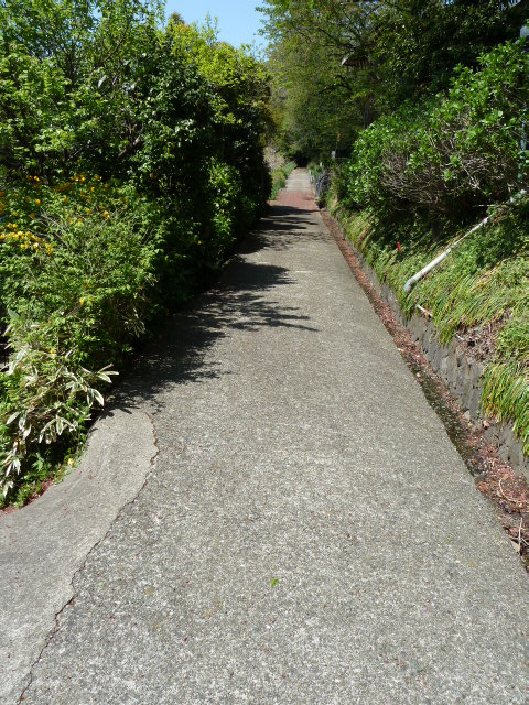 b0190242_05731.jpg