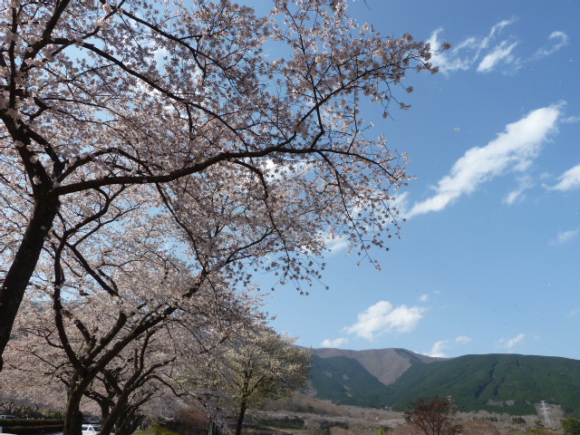 b0190242_061353.jpg