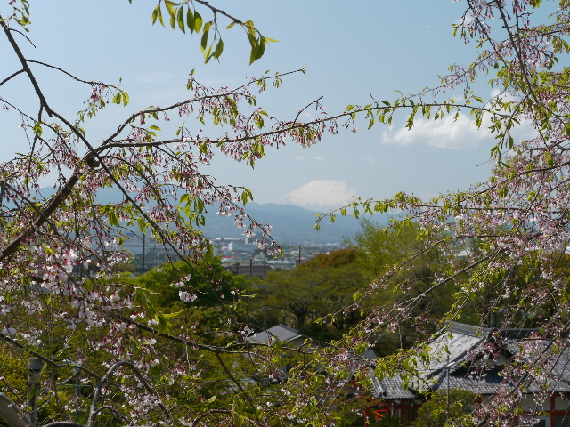 b0190242_065477.jpg