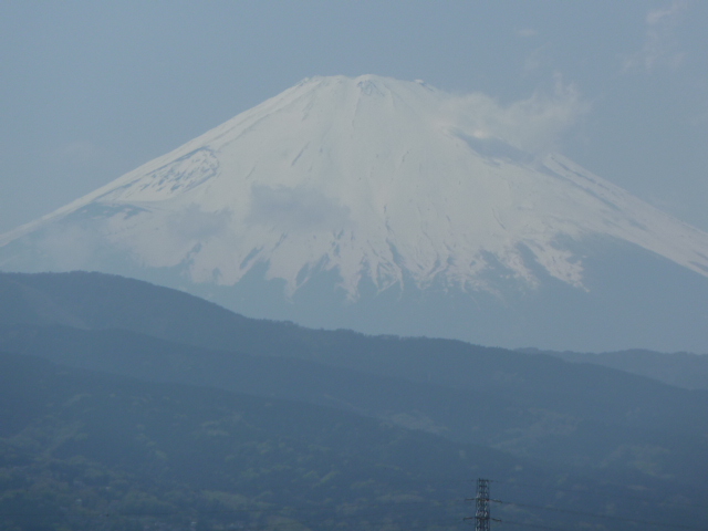 b0190242_07984.jpg