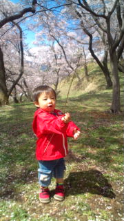 新太  IN  高遠城公園_b0096046_813660.jpg