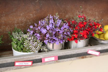 f0041447_2432828.jpg