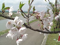 c0208355_95527.jpg
