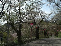 c0208355_97697.jpg