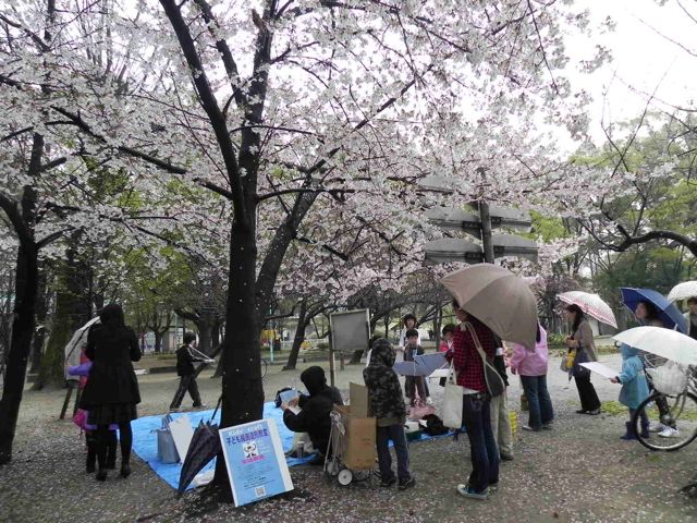 桜の写生会2011_d0076558_17264551.jpg