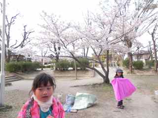 桜の写生会2011_d0076558_1735084.jpg