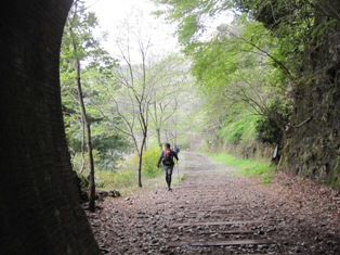 中山最高峰から大峰山へ_f0221258_23963.jpg