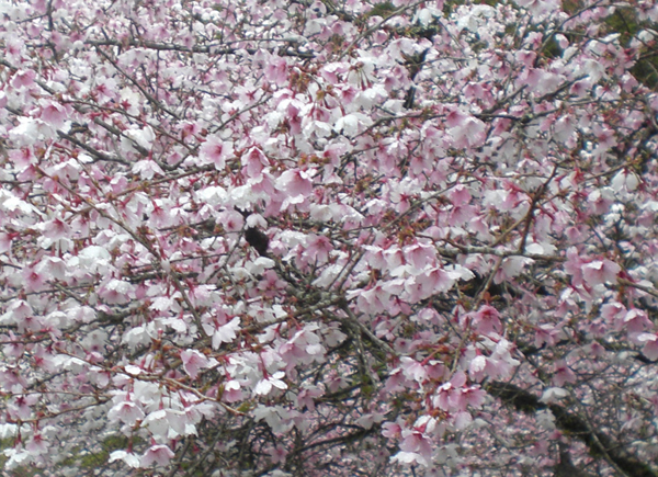a0053063_21405091.jpg
