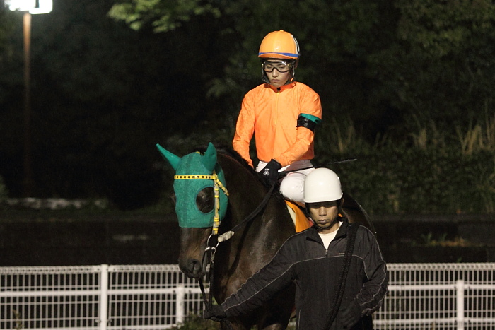 2011年4月22日(金) 高知競馬 11R 東日本大震災被災地支援特別 A-3選抜馬_a0077663_20453729.jpg