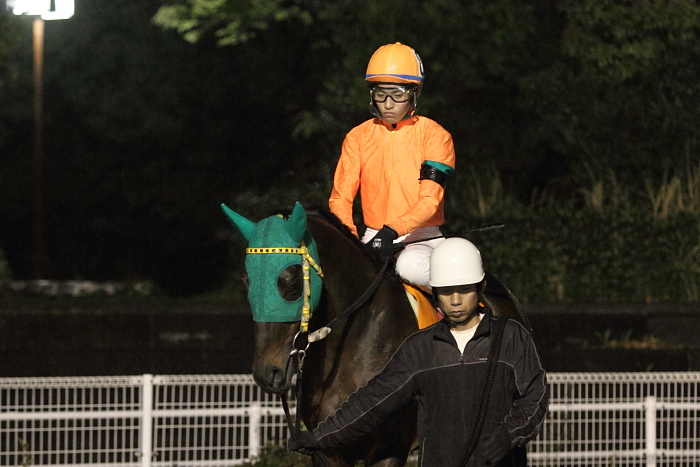 2011年4月22日（金） 高知競馬 11R 東日本大震災被災地支援特別 A-3選抜馬_a0077663_20453729.jpg