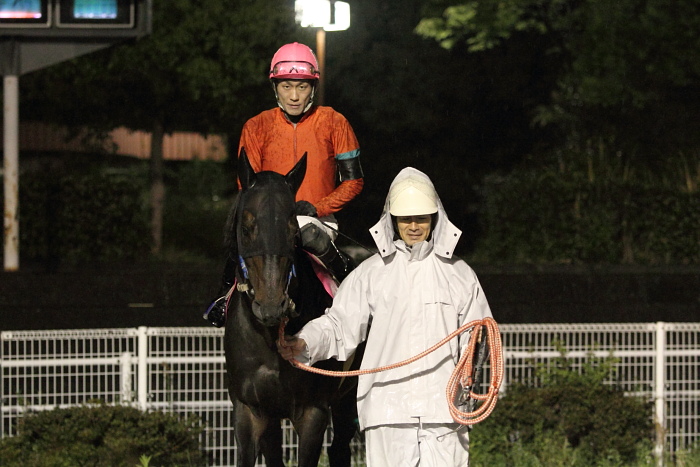 2011年4月22日(金) 高知競馬 11R 東日本大震災被災地支援特別 A-3選抜馬_a0077663_20462688.jpg