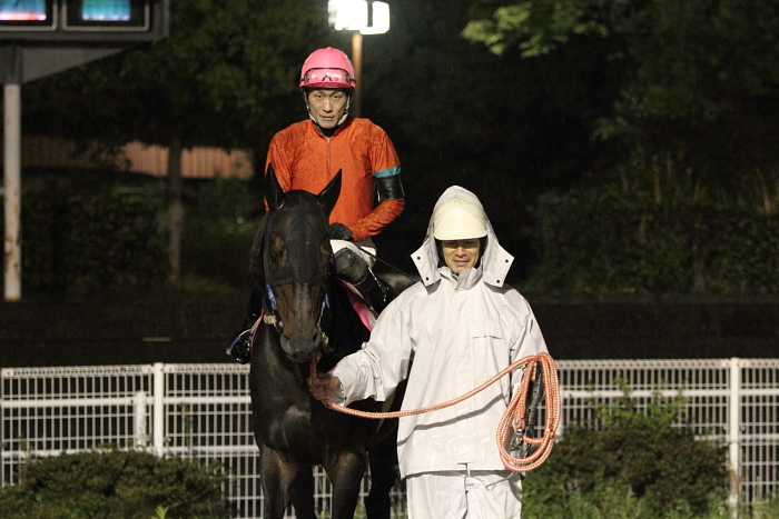 2011年4月22日（金） 高知競馬 11R 東日本大震災被災地支援特別 A-3選抜馬_a0077663_20462688.jpg