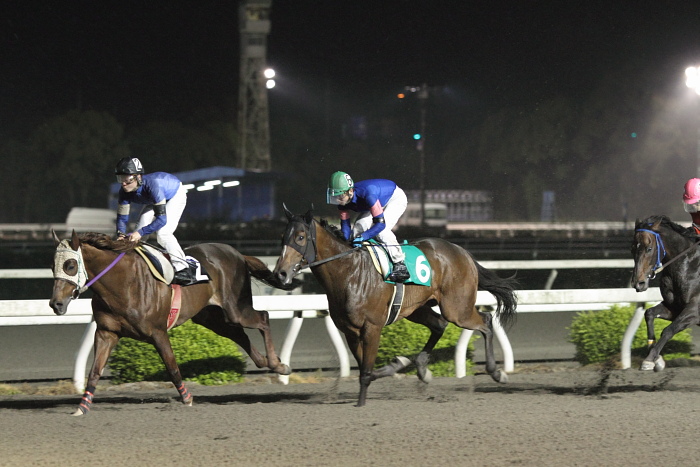 2011年4月22日（金） 高知競馬 11R 東日本大震災被災地支援特別 A-3選抜馬_a0077663_20465382.jpg