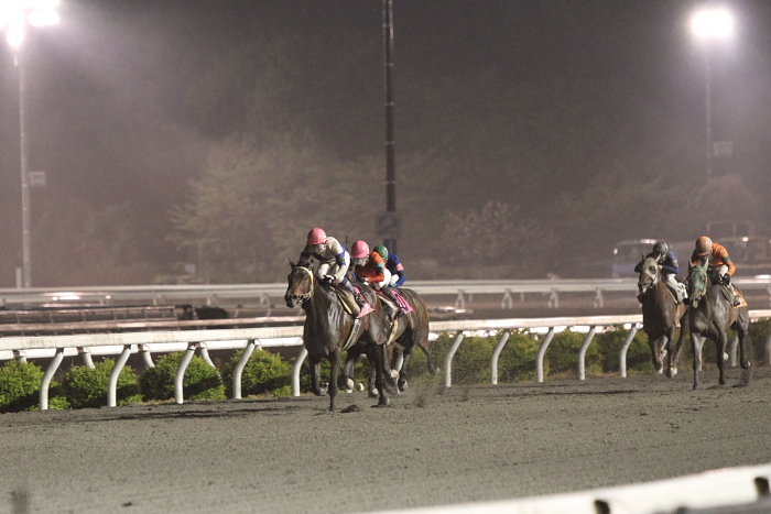 2011年4月22日（金） 高知競馬 11R 東日本大震災被災地支援特別 A-3選抜馬_a0077663_20471469.jpg