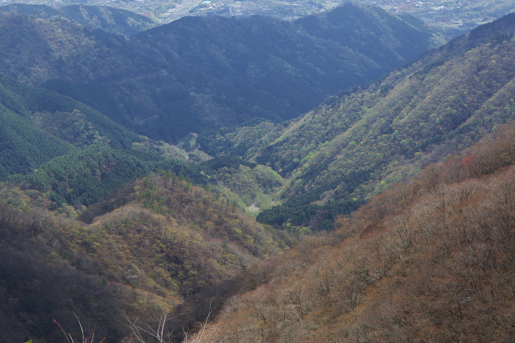 f0171065_21565734.jpg