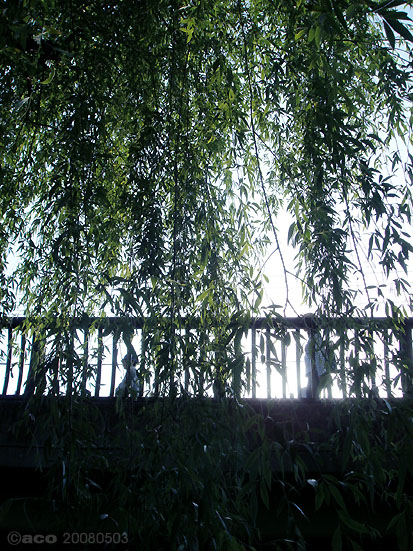京都・伏見界隈の小景　三年前の五月の昼下がり_b0016567_1638281.jpg