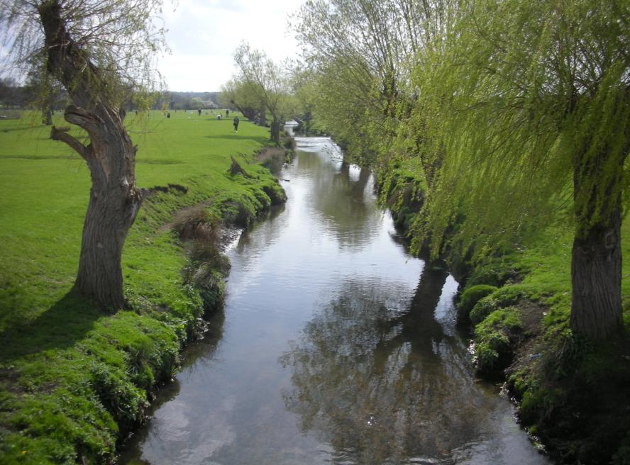 お散歩&ランチ(1)リッチモンド・パーク ロンパラ!(LONDON パラダイス)