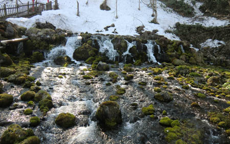 f0083977_022839.jpg