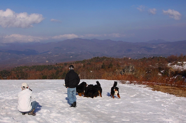 下のお山の山頂にて・・・_c0149178_17541442.jpg