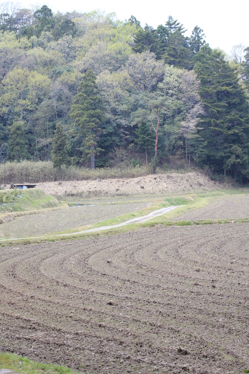e0024081_14453978.jpg