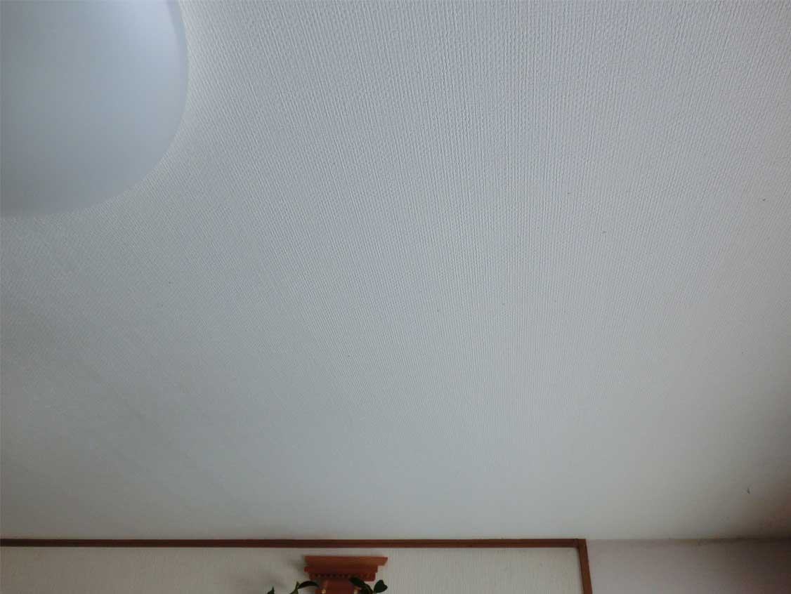 e0229082_1911174.jpg