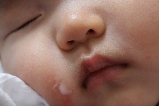 f0142986_1091572.jpg