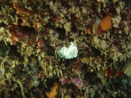 f0151886_17542614.jpg