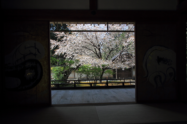 常照皇寺_e0051888_20353418.jpg