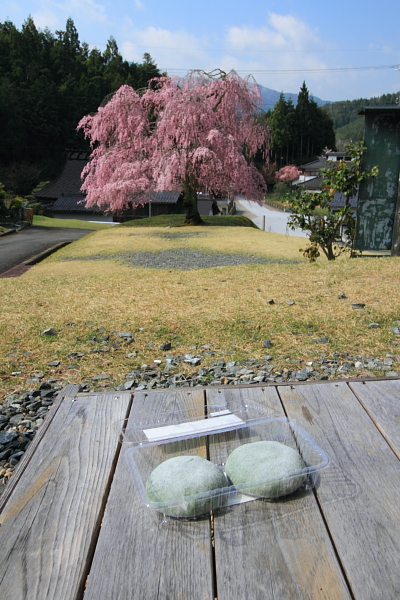 常照皇寺_e0051888_20355034.jpg