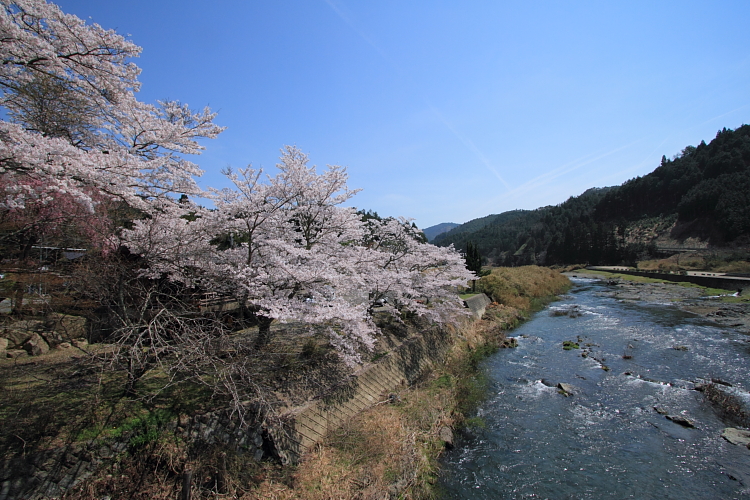 常照皇寺_e0051888_2036716.jpg