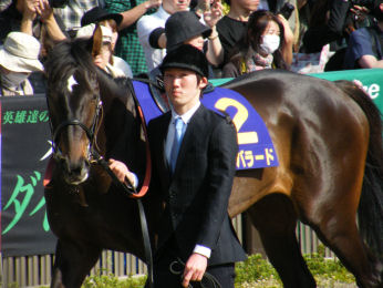 2011年・皐月賞プラスαの写真＠東京競馬場_a0161290_0105034.jpg