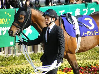 2011年・皐月賞プラスαの写真＠東京競馬場_a0161290_0111232.jpg