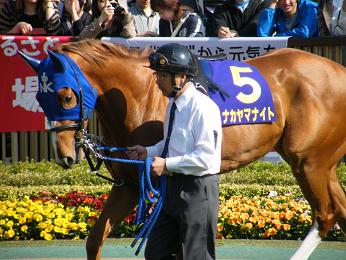 2011年・皐月賞プラスαの写真＠東京競馬場_a0161290_0115980.jpg