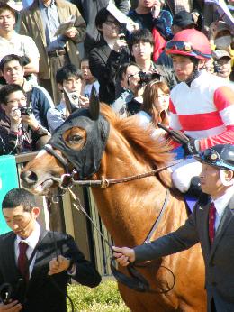 2011年・皐月賞プラスαの写真＠東京競馬場_a0161290_0122387.jpg