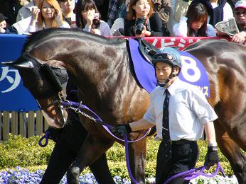 2011年・皐月賞プラスαの写真＠東京競馬場_a0161290_0161572.jpg