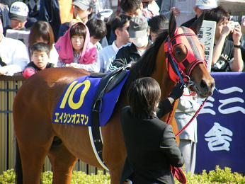 2011年・皐月賞プラスαの写真＠東京競馬場_a0161290_0182224.jpg