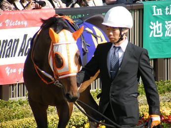 2011年・皐月賞プラスαの写真＠東京競馬場_a0161290_0235460.jpg