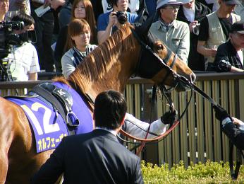 2011年・皐月賞プラスαの写真＠東京競馬場_a0161290_023887.jpg