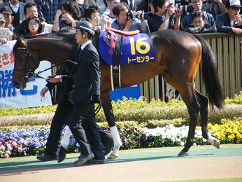 2011年・皐月賞プラスαの写真＠東京競馬場_a0161290_0244040.jpg