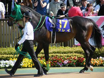 2011年・皐月賞プラスαの写真＠東京競馬場_a0161290_0252868.jpg