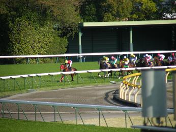 2011年・皐月賞プラスαの写真＠東京競馬場_a0161290_0272733.jpg