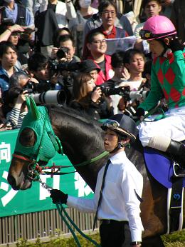 2011年・皐月賞プラスαの写真＠東京競馬場_a0161290_04803.jpg