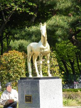 2011年・皐月賞プラスαの写真＠東京競馬場_a0161290_062687.jpg