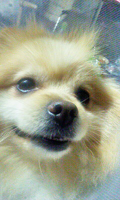 c0138198_16505218.jpg